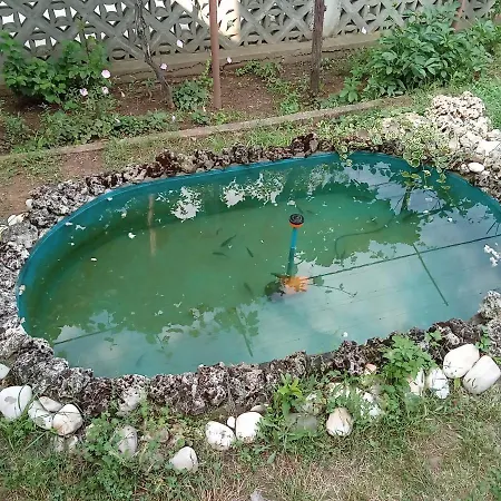 Guest house Krimski And Byala (Varna)